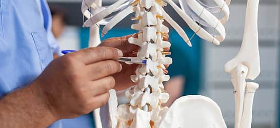 Spinal Cord Injury Awareness Day