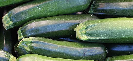 National Sneak Some Zucchini Onto Your Neighbors’ Porch Day