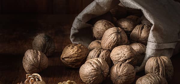 National Walnut Day (May 17th) Days Of The Year