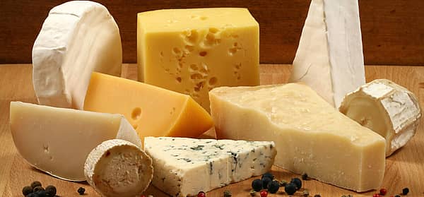 National Cheese Lovers Day (January 20th) Days Of The Year