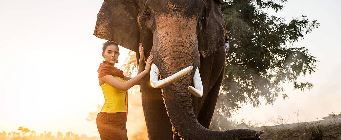 Elephant Day in Thailand