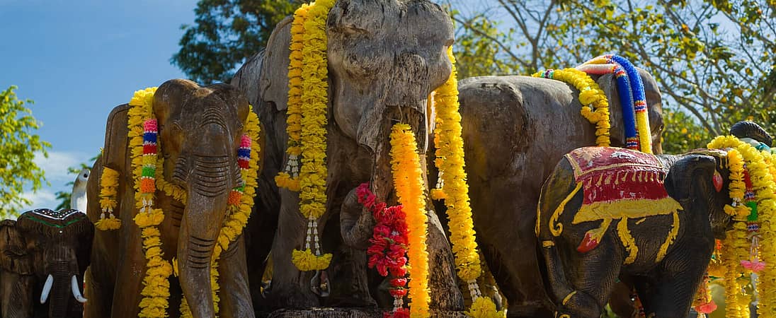 Elephant Round-Up in Surin