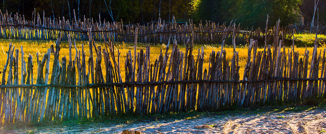 Grass is Always Browner on the Other Side of the Fence Day