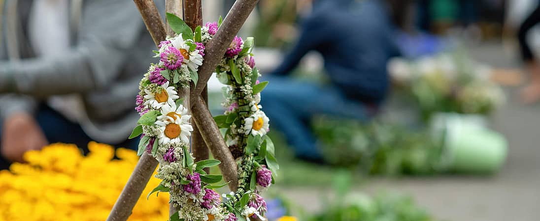 Haybuis Armenian Herb Festival