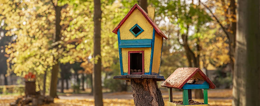 Homes for Birds Week