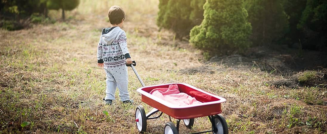 Little Red Wagon Day