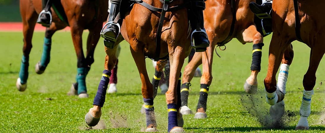 Melbourne Cup Day