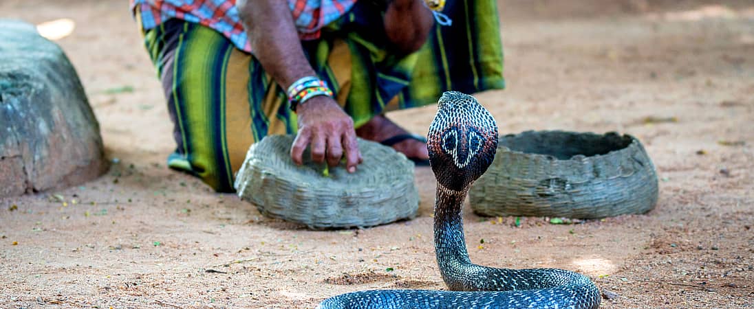 Nag Panchami