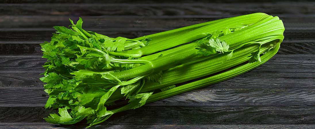 National Fresh Celery Month