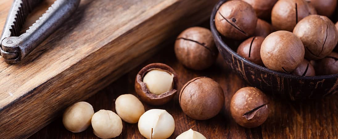 National Macadamia Nut Month