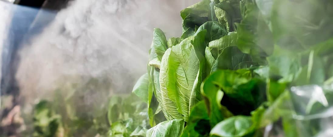 National Produce Misting Day