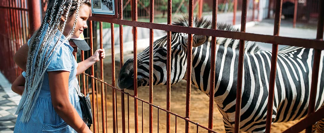 National Zoo Awareness Day