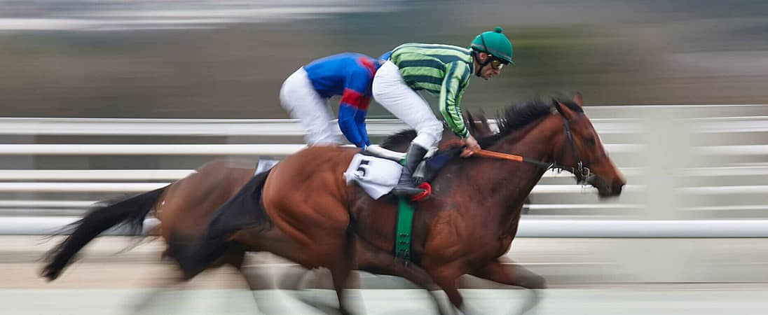 Palio Horse Race in Siena