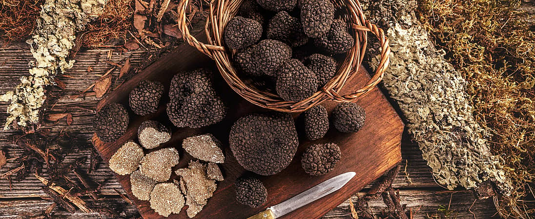 Truffle Days in Croatia