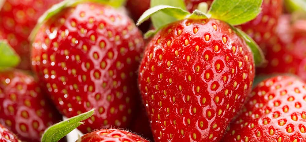 National Strawberry Day (February 27th) Days Of The Year