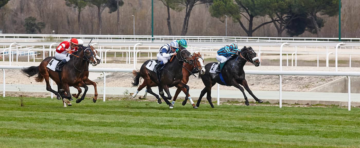 Adelaide Cup Day (March 10th, 2025) Days Of The Year