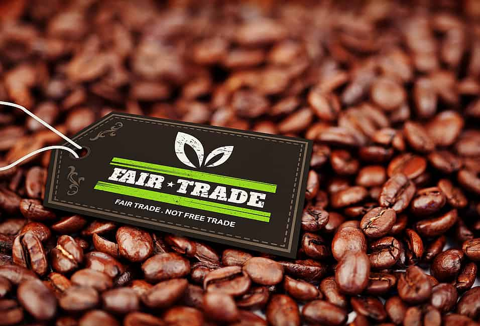 Fairtrade accused of failing to deliver benefits to African