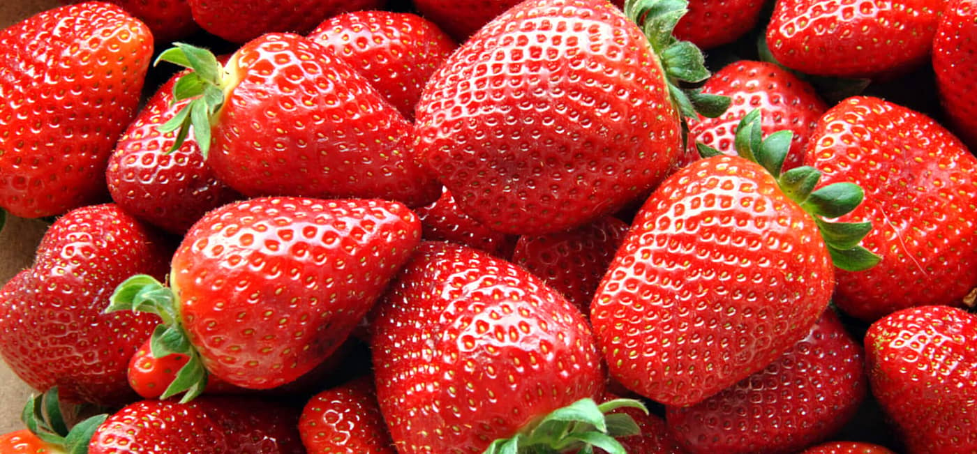 National Pick Strawberries Day (May 20th) Days Of The Year