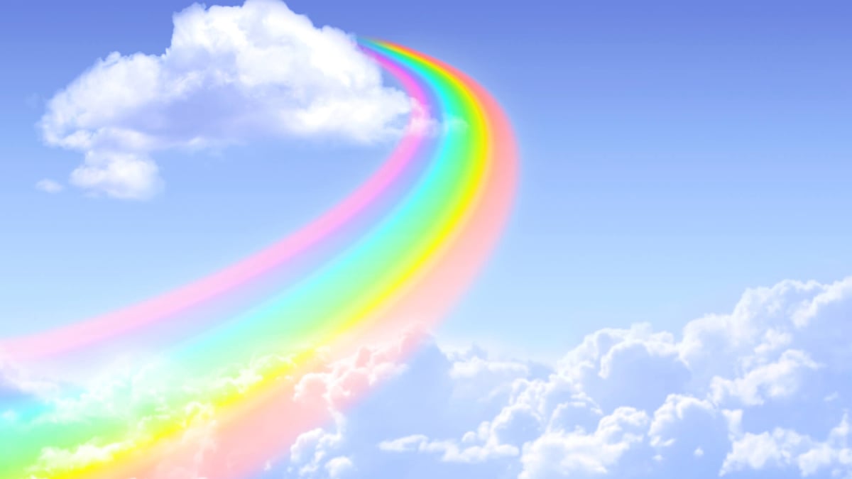 Rainbow Bridge Remembrance Day (August 28th) Days Of The Year