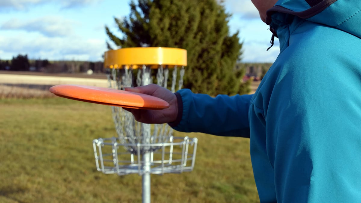 National Disc Golf Day (August 3rd, 2024) Days Of The Year