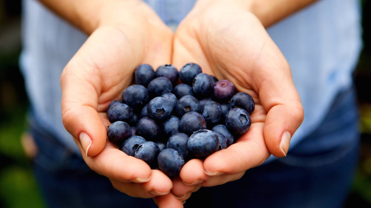 Pick Blueberries Day (July 10th)