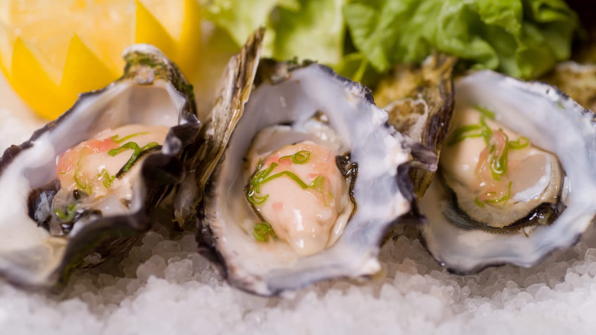 National Oyster Day (August 5th)