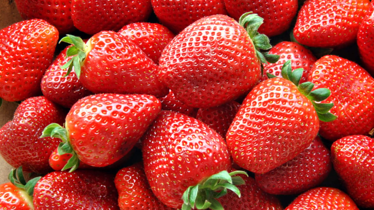 National Pick Strawberries Day (May 20th) Days Of The Year
