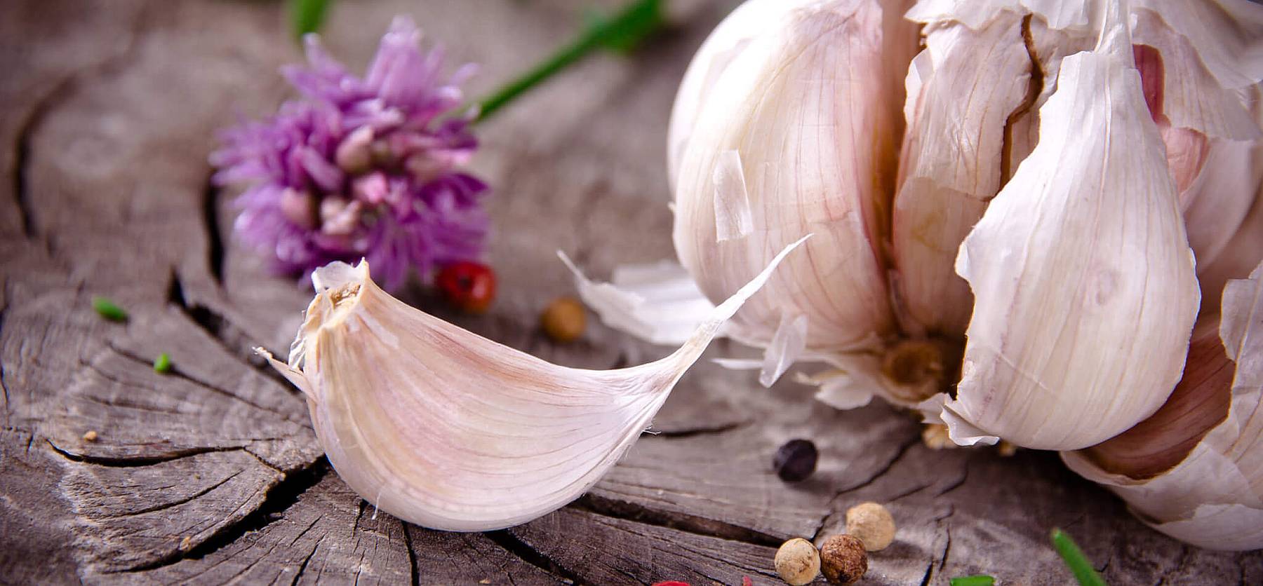 National Garlic Day (April 19th) Days Of The Year