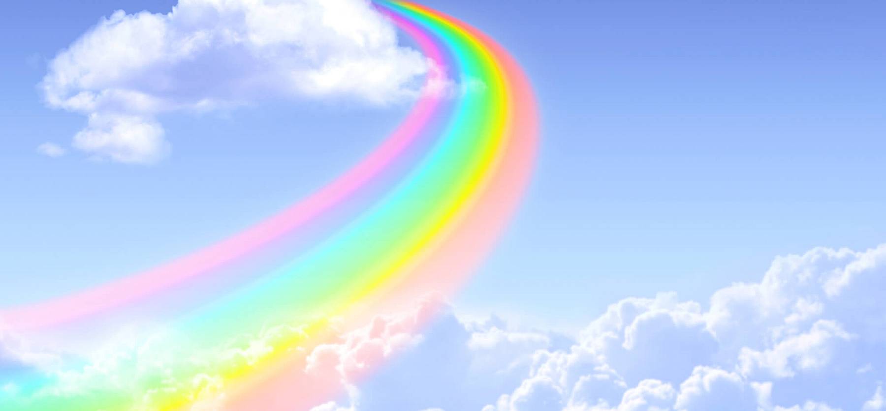 Rainbow Bridge Remembrance Day (August 28th) Days Of The Year