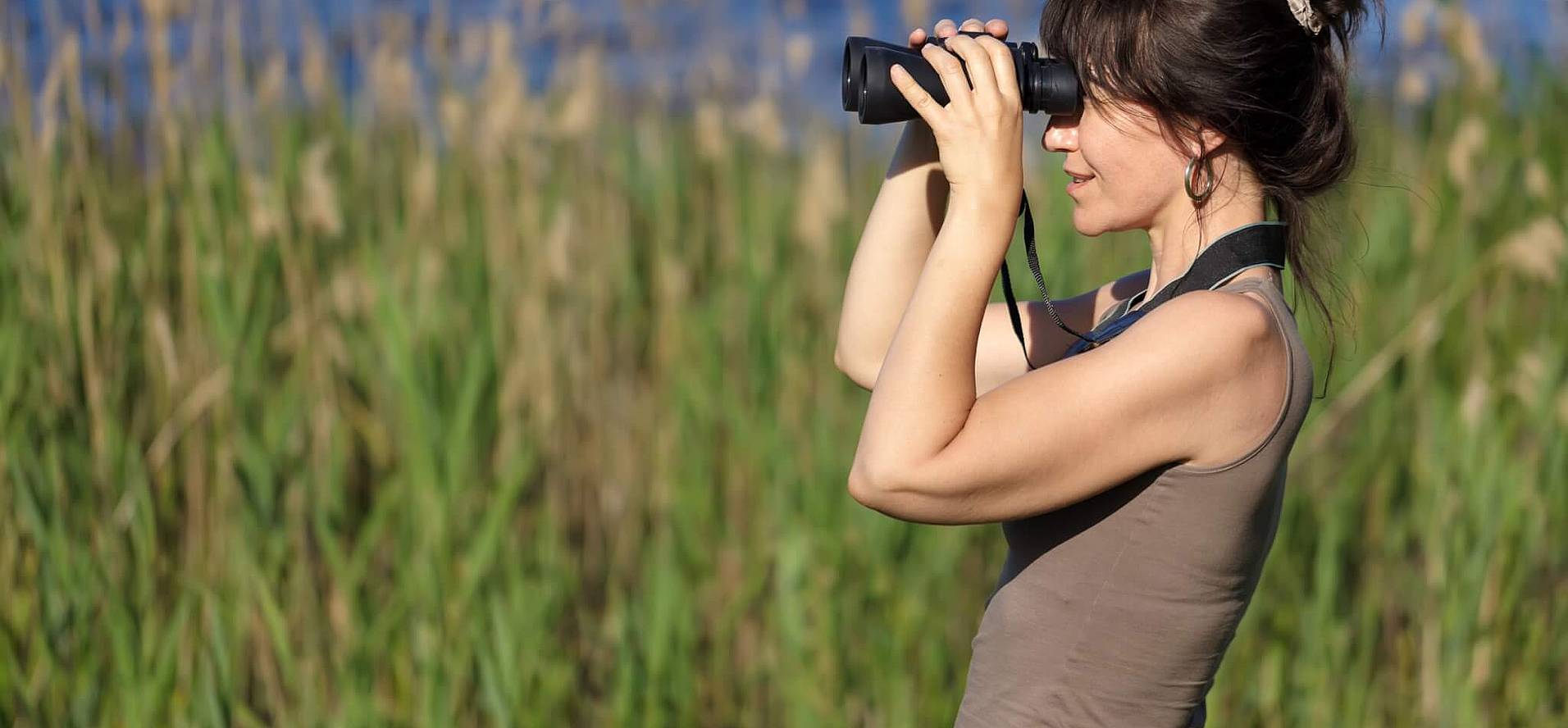 National Go Birding Day (April 27th, 2024) Days Of The Year