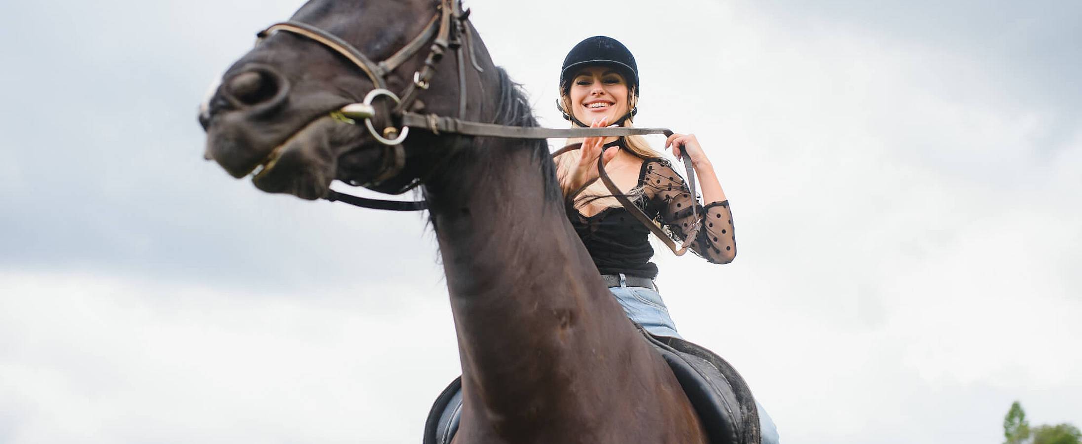 National Ride Your Horse to a Bar Day (April 2nd) Days Of The Year