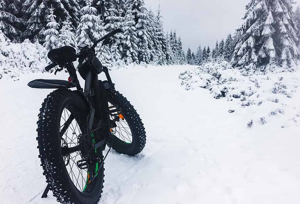 E fat bike discount 2021