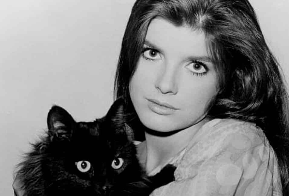 Katharine Ross birthday Jan 29th 1940 Days Of The Year