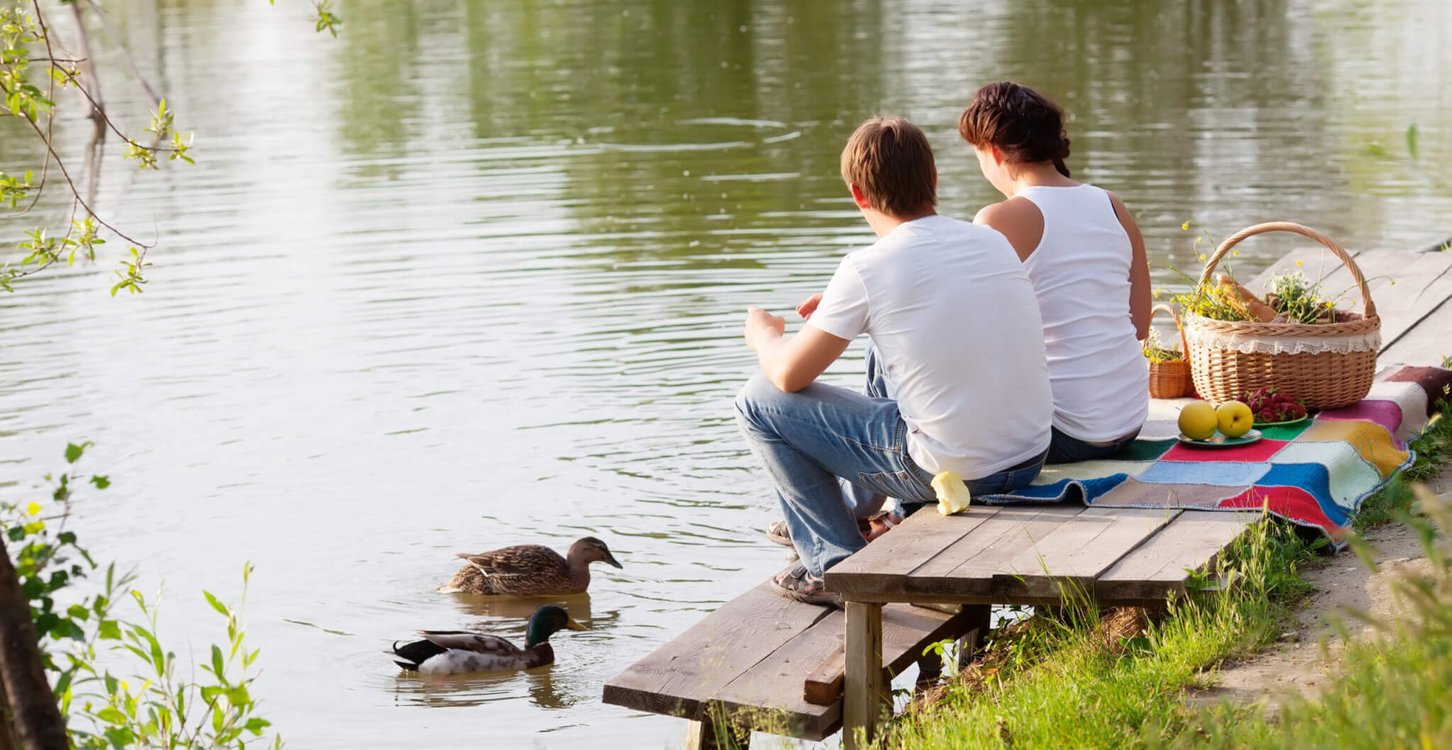 International Picnic Day (18th June) Days Of The Year