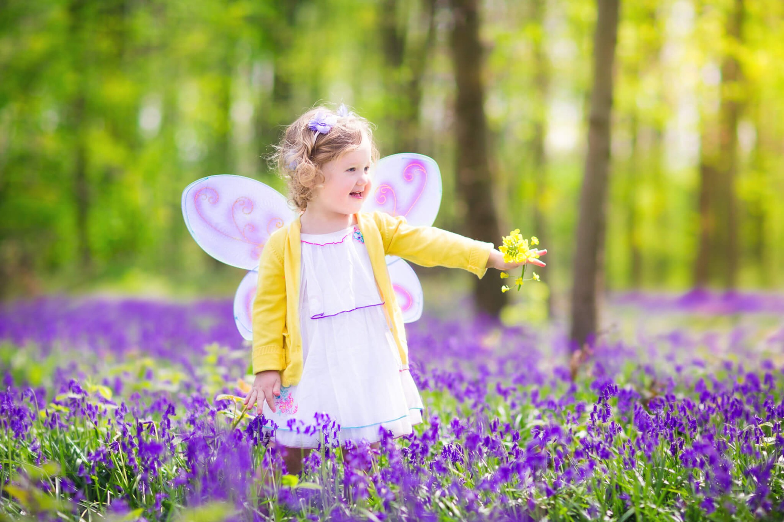 Fairy Day (24th June) Days Of The Year