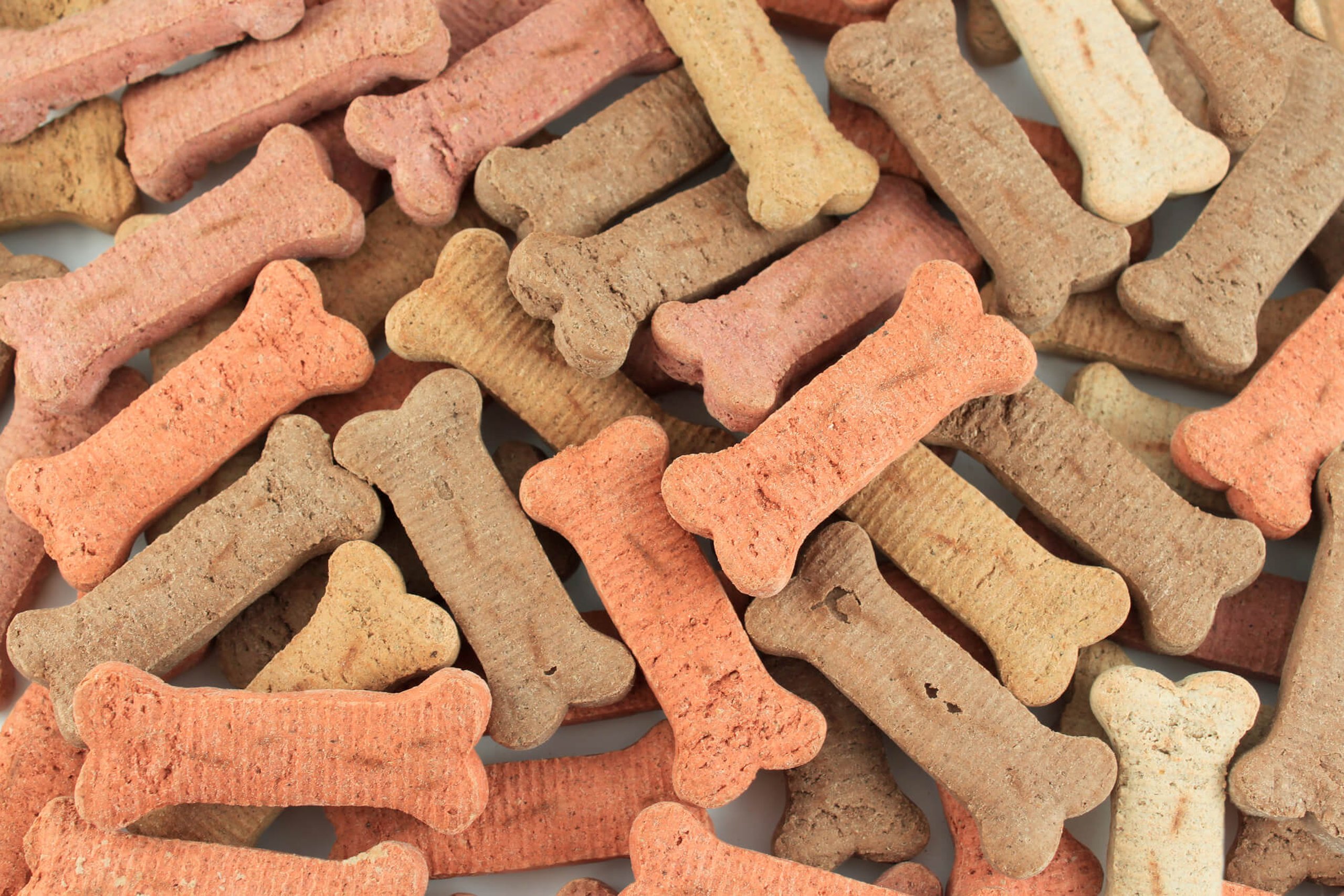 International Dog Biscuit Appreciation Day (23rd February) Days Of