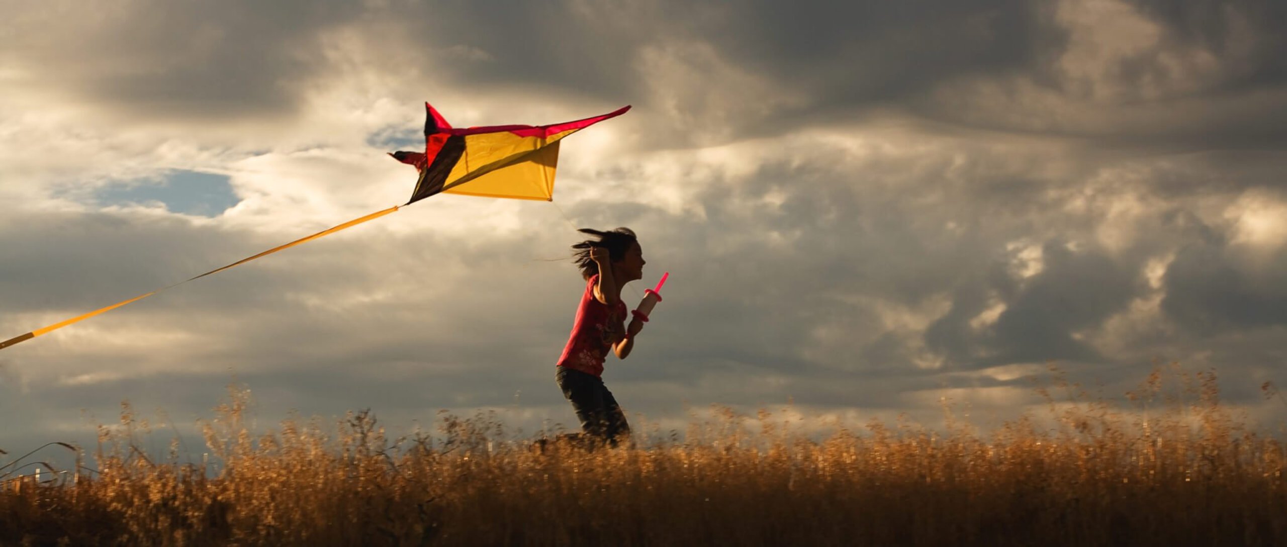 Как переводится fly a kite