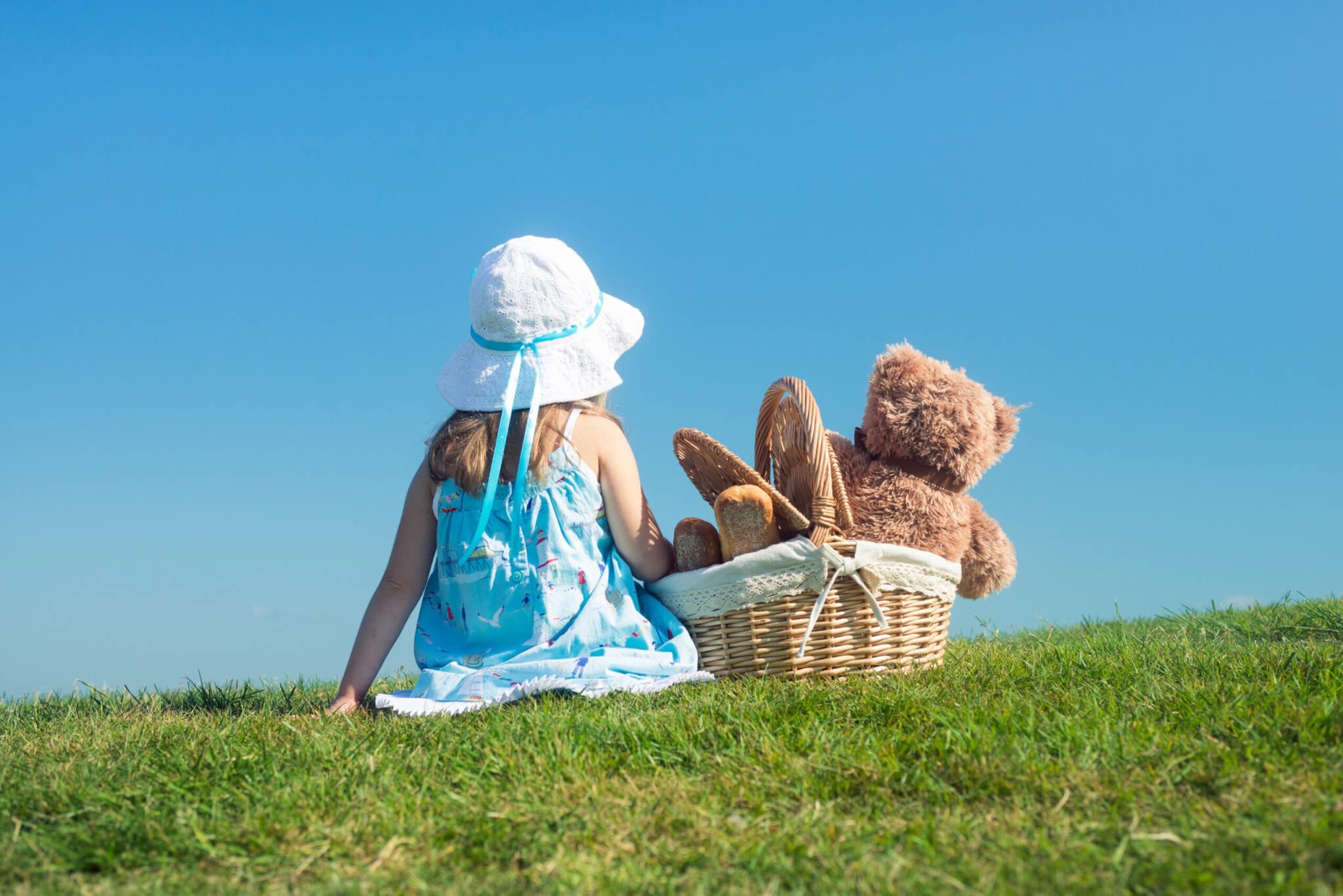 Teddy Bear Picnic Day (10th July) | Days Of The Year