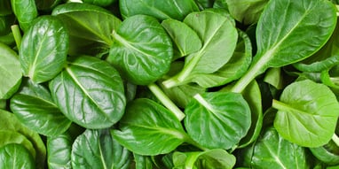 What Is Spinach Leaf In Igbo Language