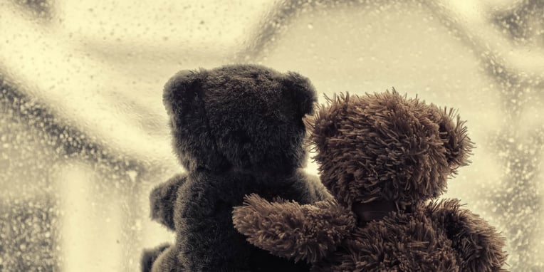 Hug A Bear Day (7th November) Days Of The Year