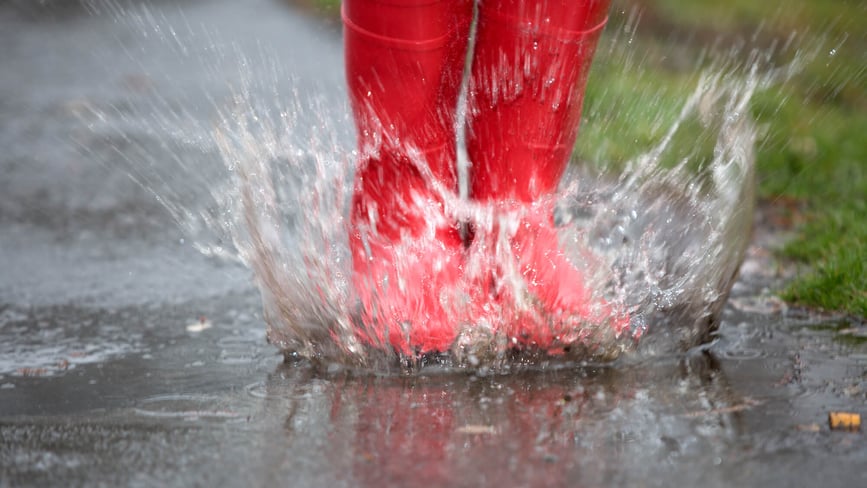 step-in-a-puddle-and-splash-your-friends-day-11th-january-days-of