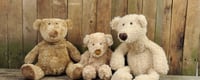 Teddy Bear Day (9th September) | Days Of The Year