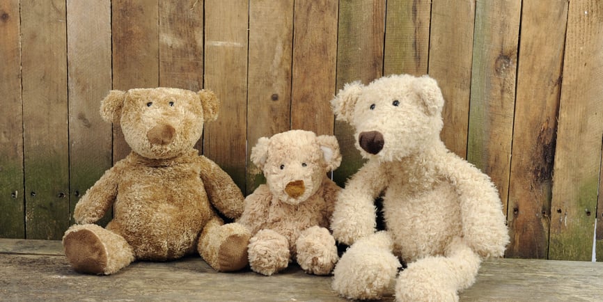 Teddy Bear Day (9th September) Days Of The Year