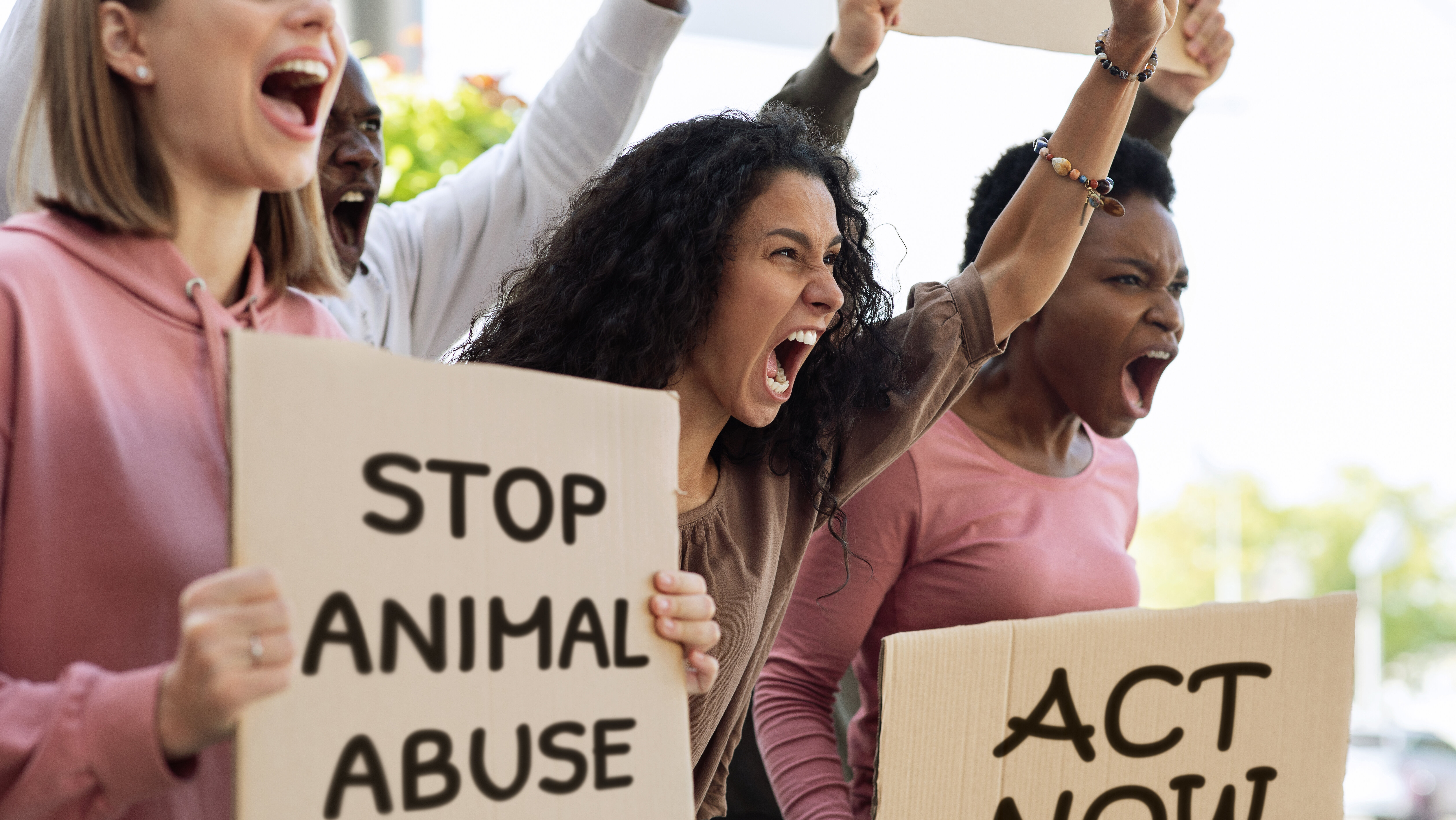 Celebrating Animal Rights Awareness Week: Promoting Compassion and Action
