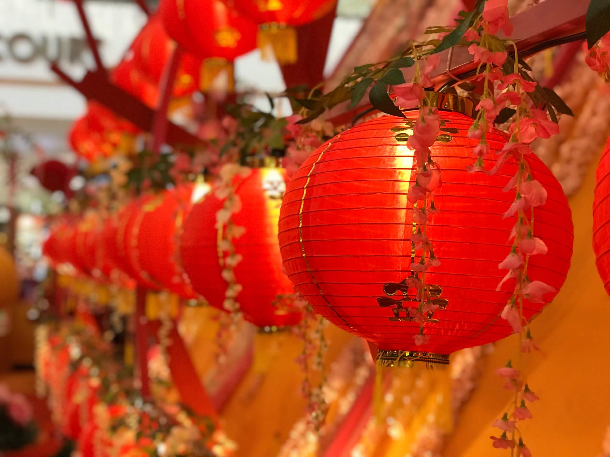 Chinese New Year Date for 2022,2023,2024,2025  Chinese new year  decorations, New years decorations, Chinese decor