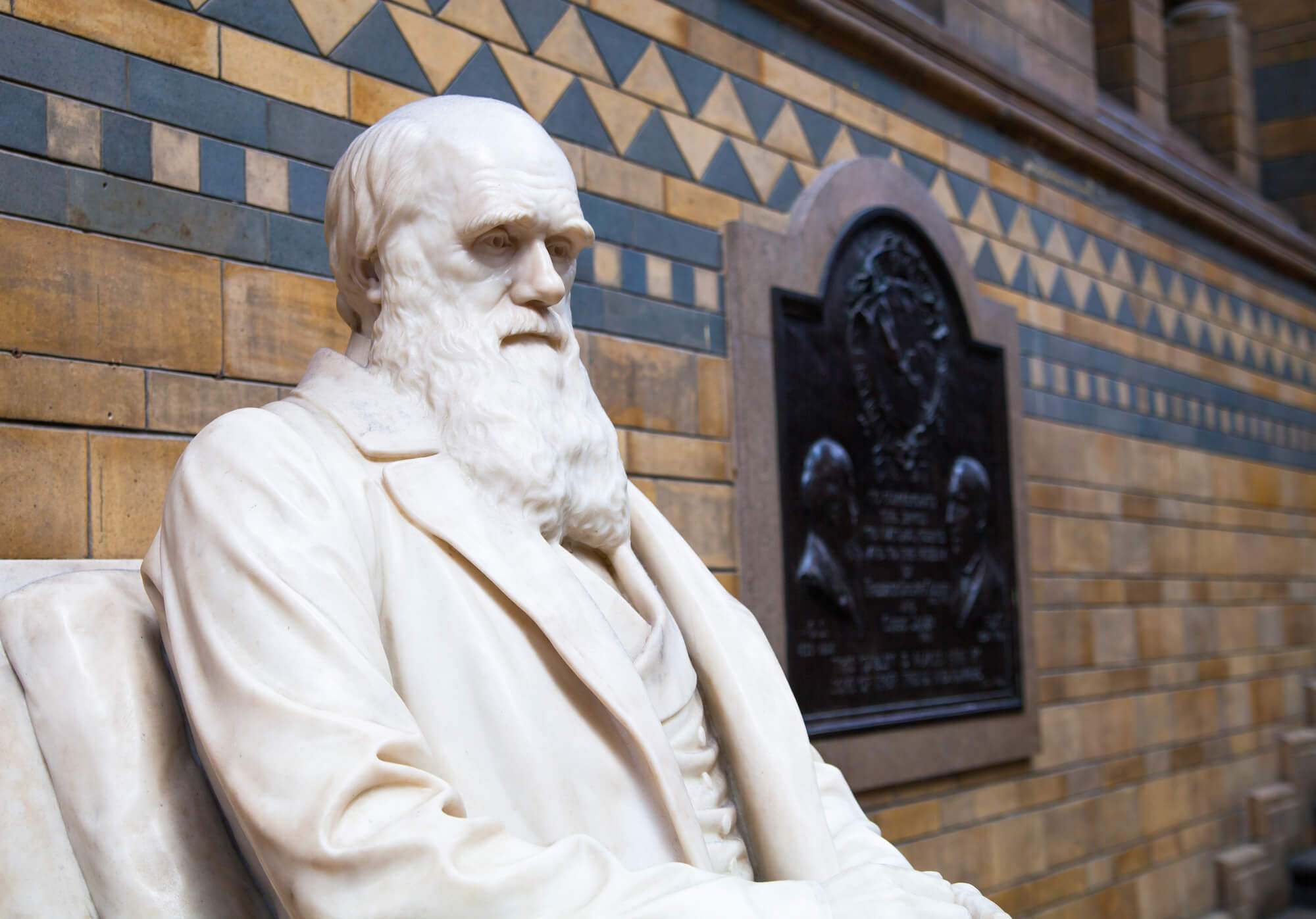 Darwin Day 12th February Days Of The Year