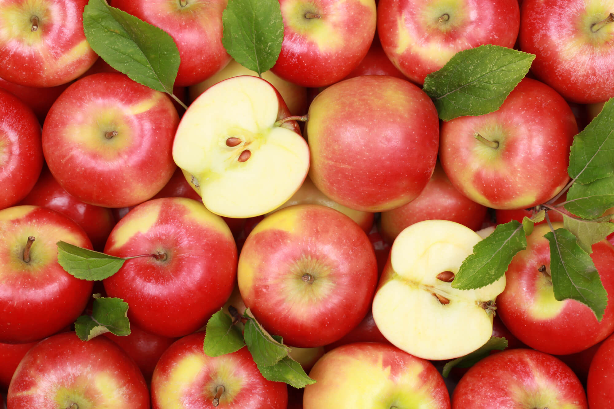 Red Granny Smith Apples Information and Facts