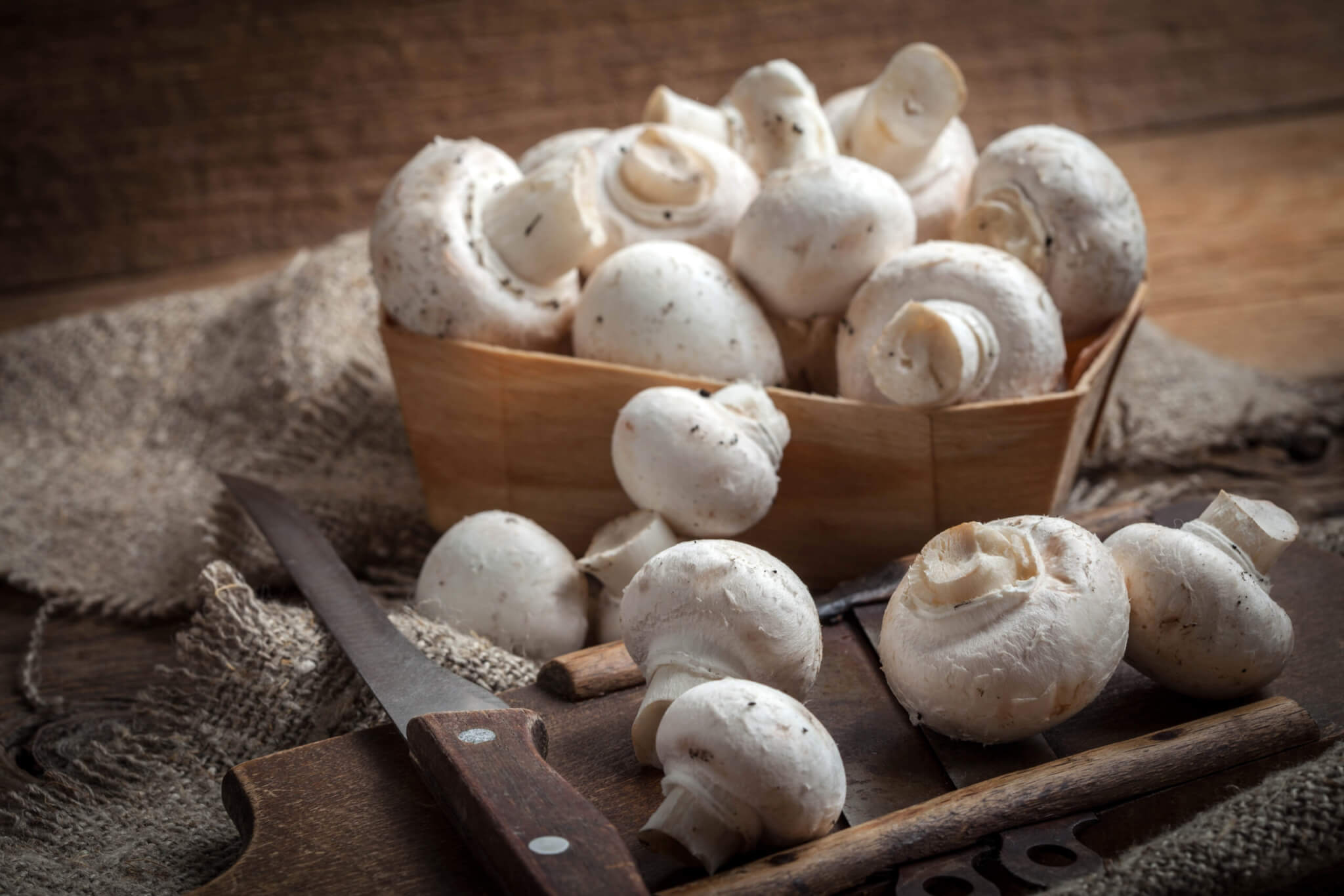 National Mushroom Day (October 15th)