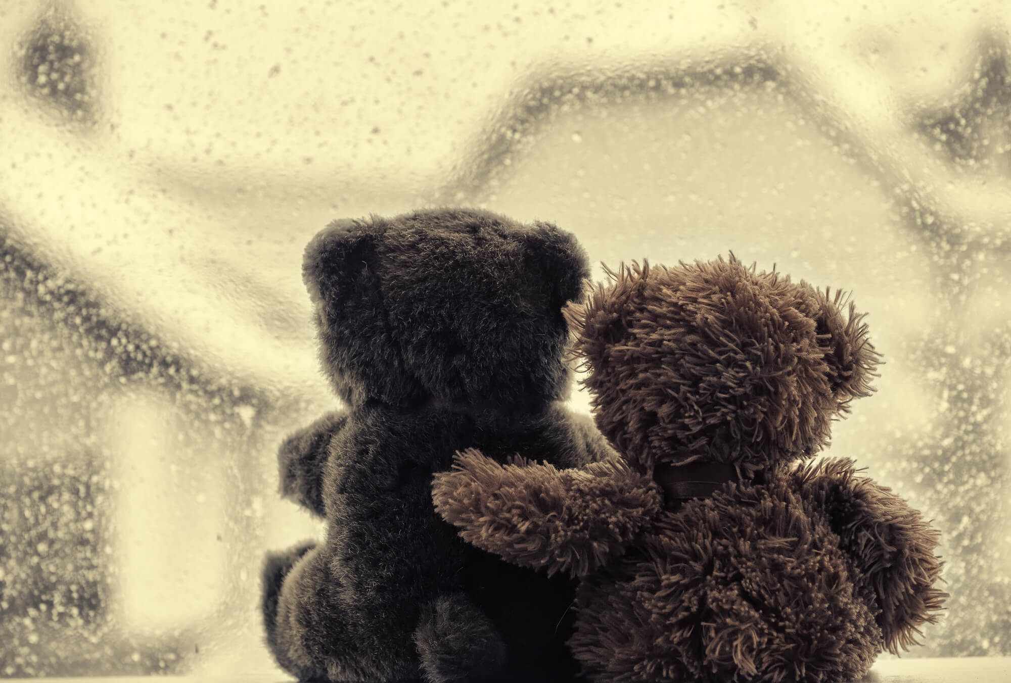 hug teddy bear