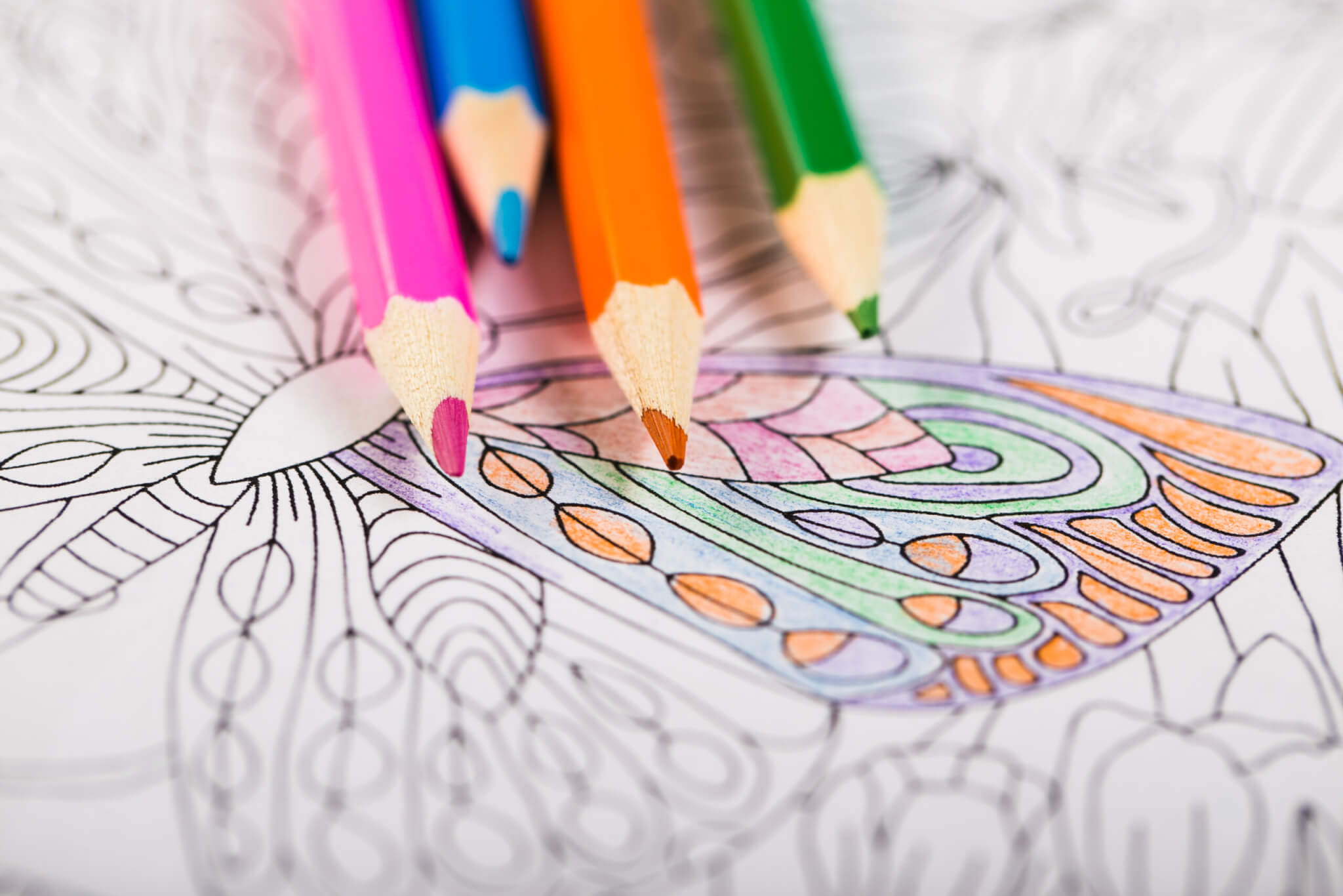 Color Your day Coloring Book with Pencils - School Datebooks